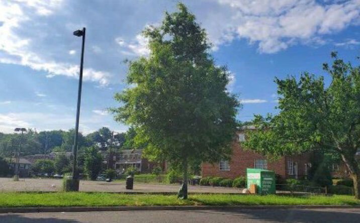 Pictures of Land property located at 307 40th Street NE, Washington, DC 20019 for lease - image #1