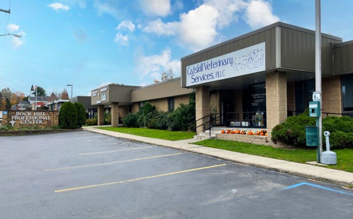 Pictures of Office property located at 230 Rock Hill Drive, Rock Hill, NY 12775 for lease - image #1