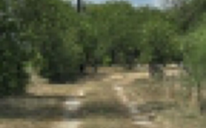 Pictures of Land, Special Purpose property located at 8279 Green Valley Road, Marion, TX 78124 for lease - image #1
