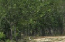 13172708