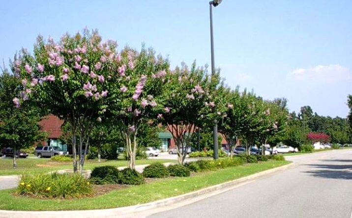 Pictures of Office, Industrial property located at 915 Interstate Ridge, Gainesville, GA 30501 for lease - image #1