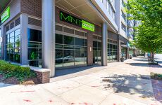 13236388