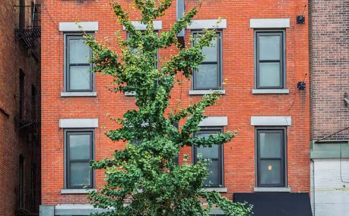 Pictures of Retail, Restaurant property located at 344 E 59th St, New York, NY 10022 for lease - image #1