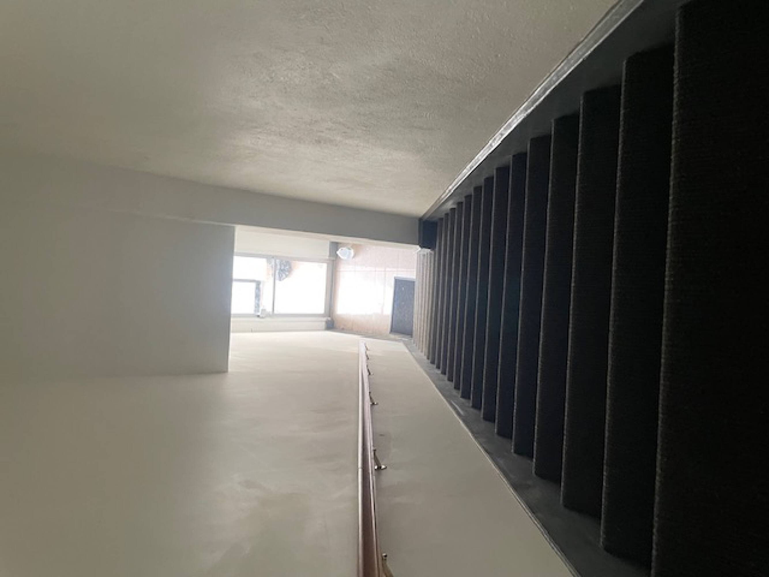 3603737