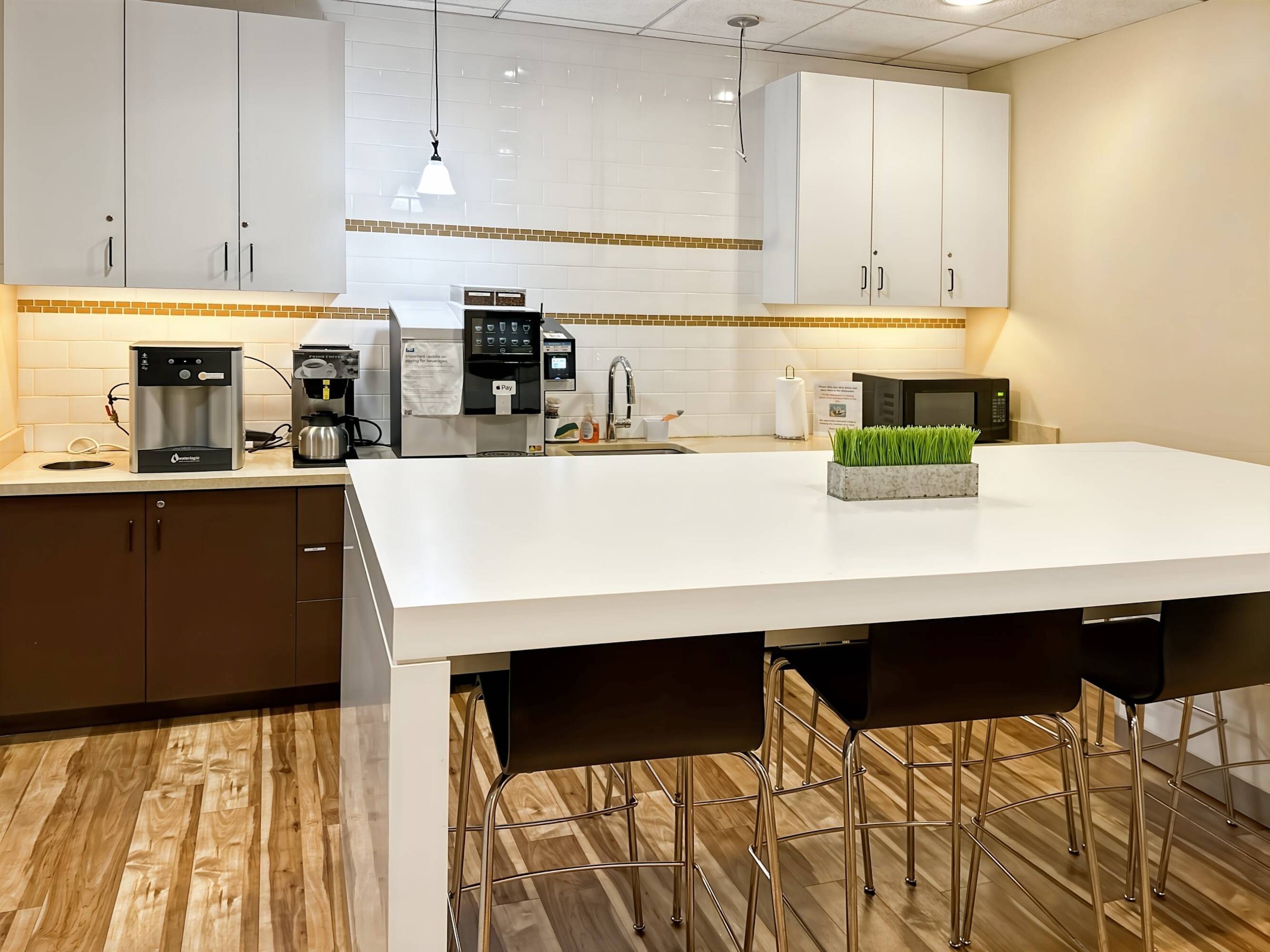 3636030