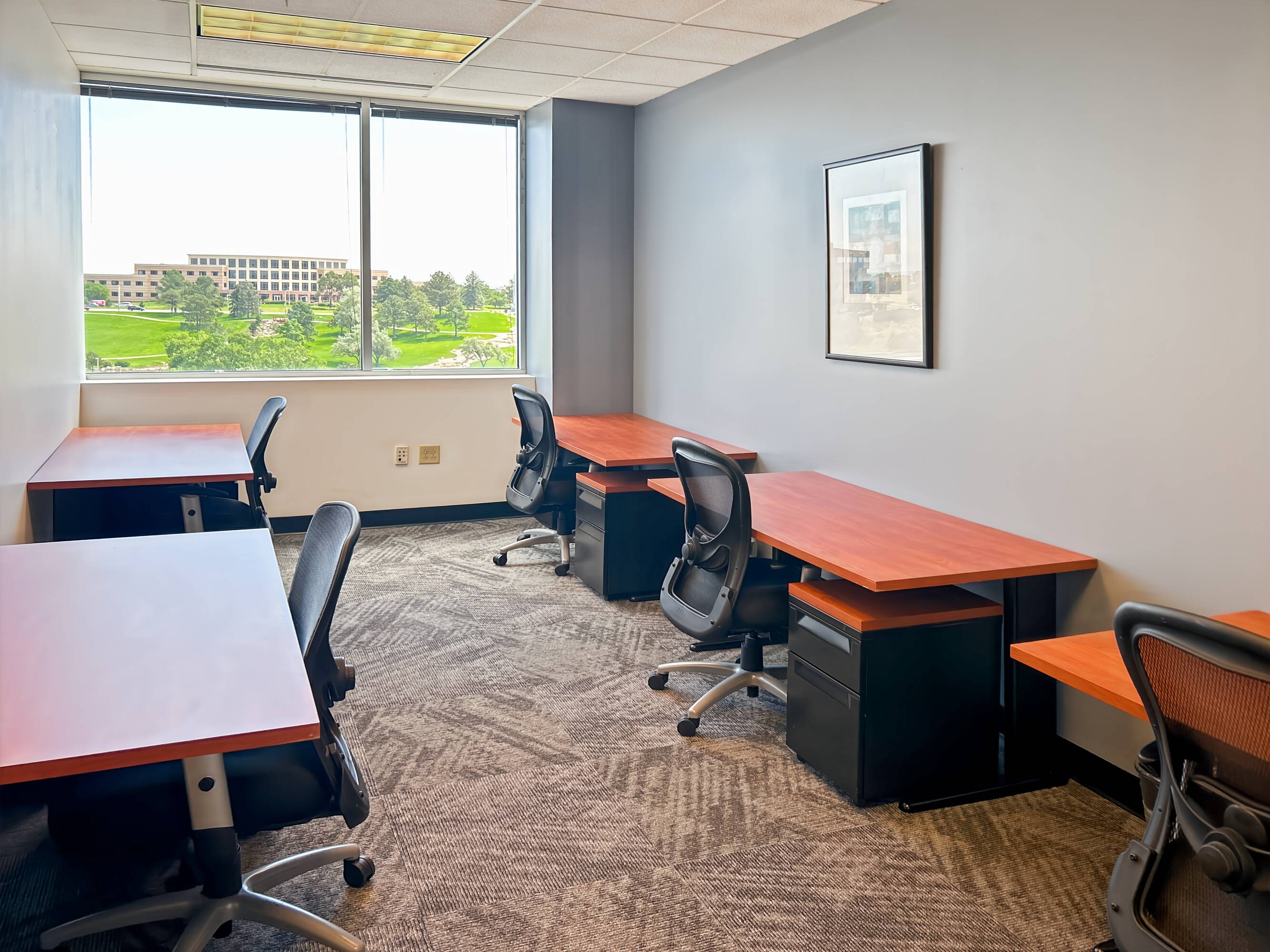 3637047
