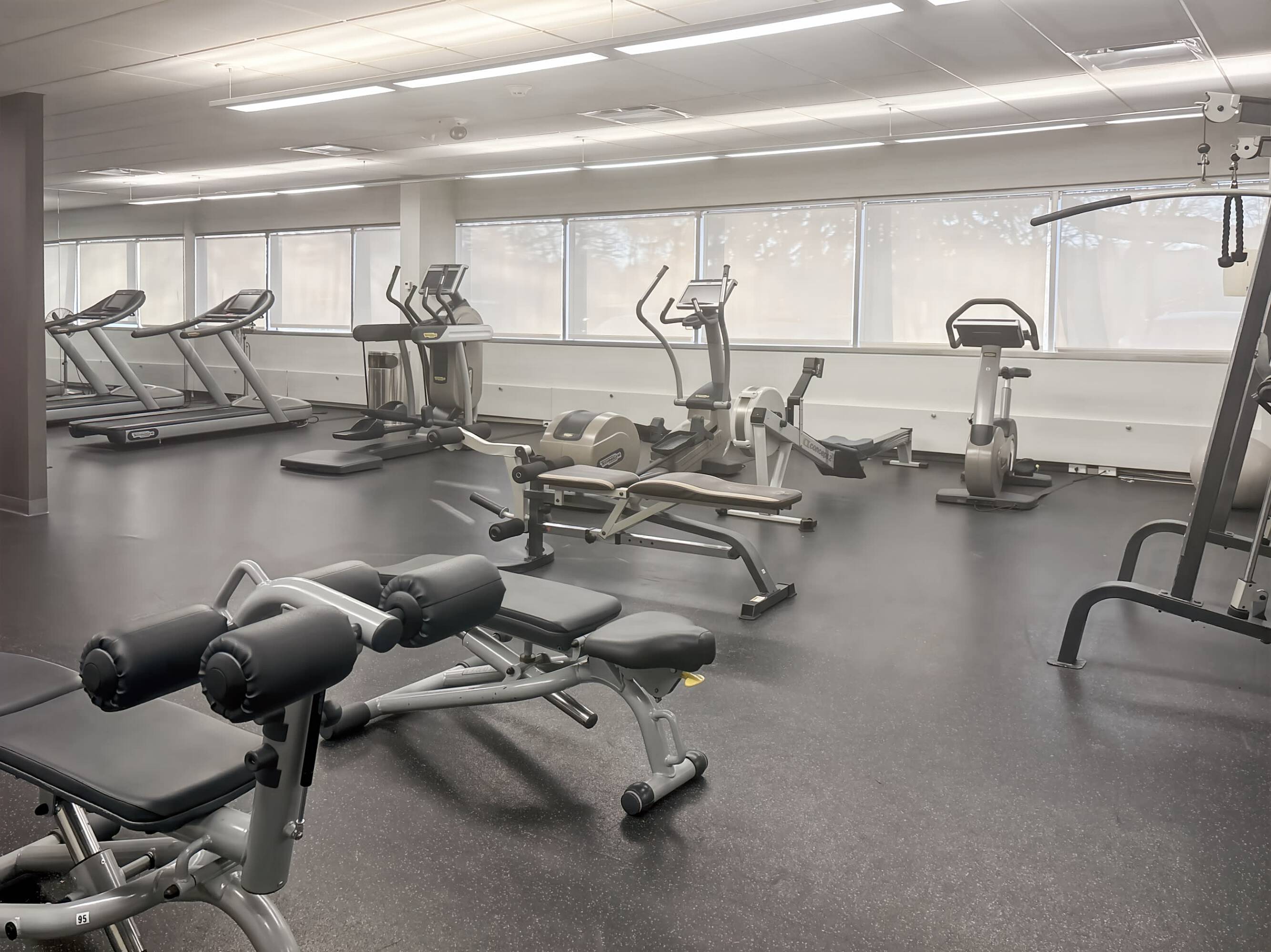 3637302