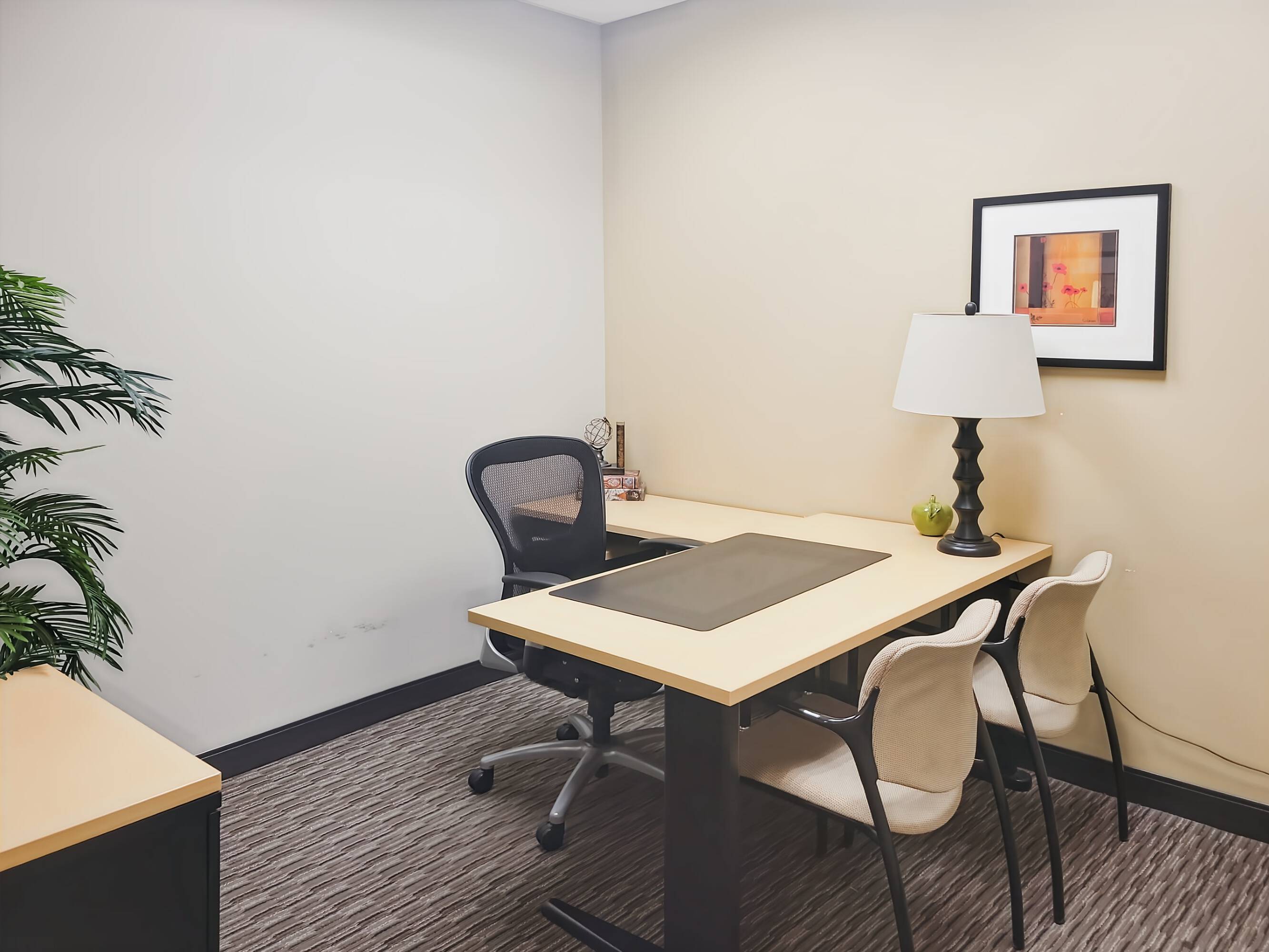3641419