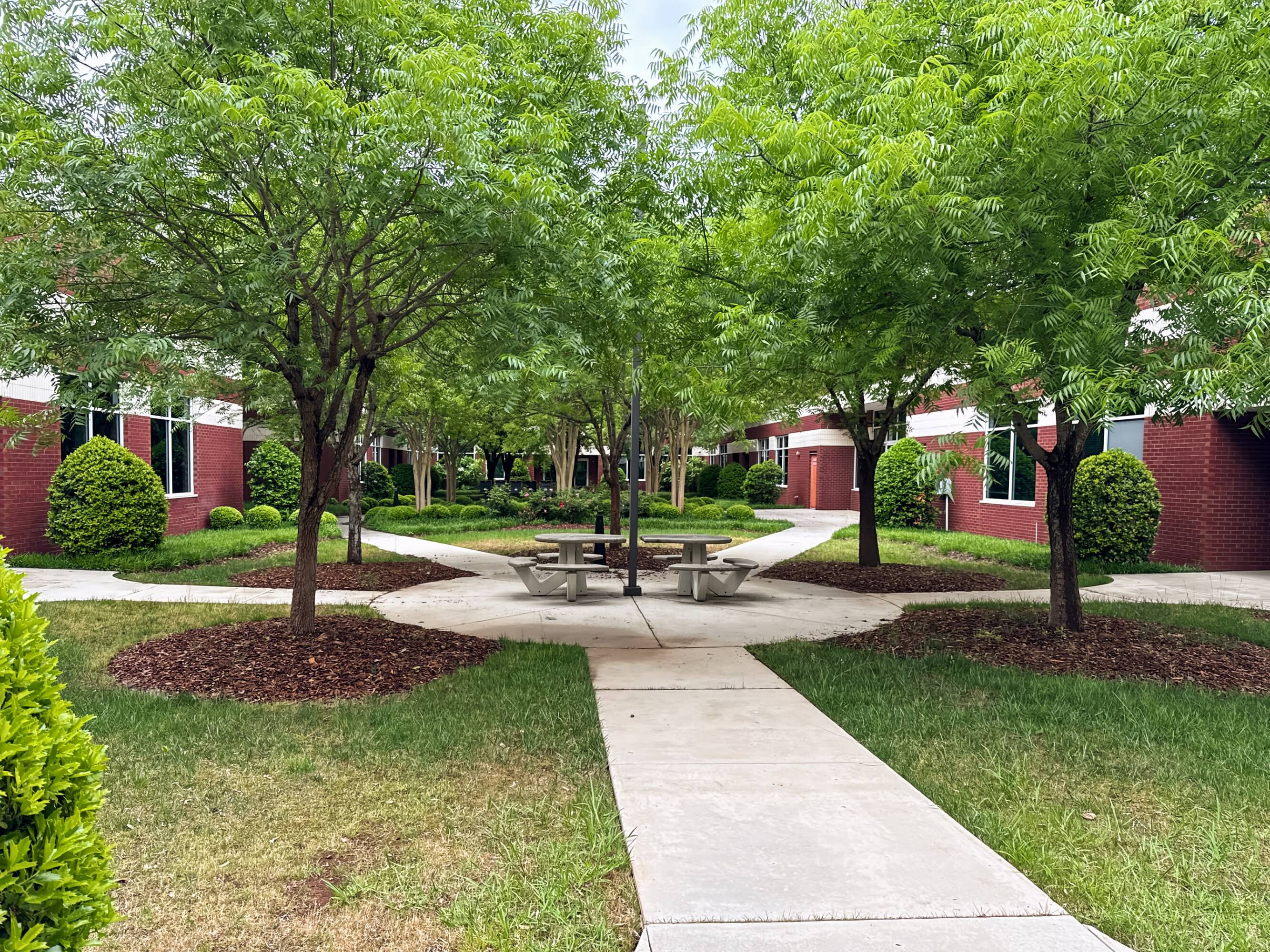 3832123