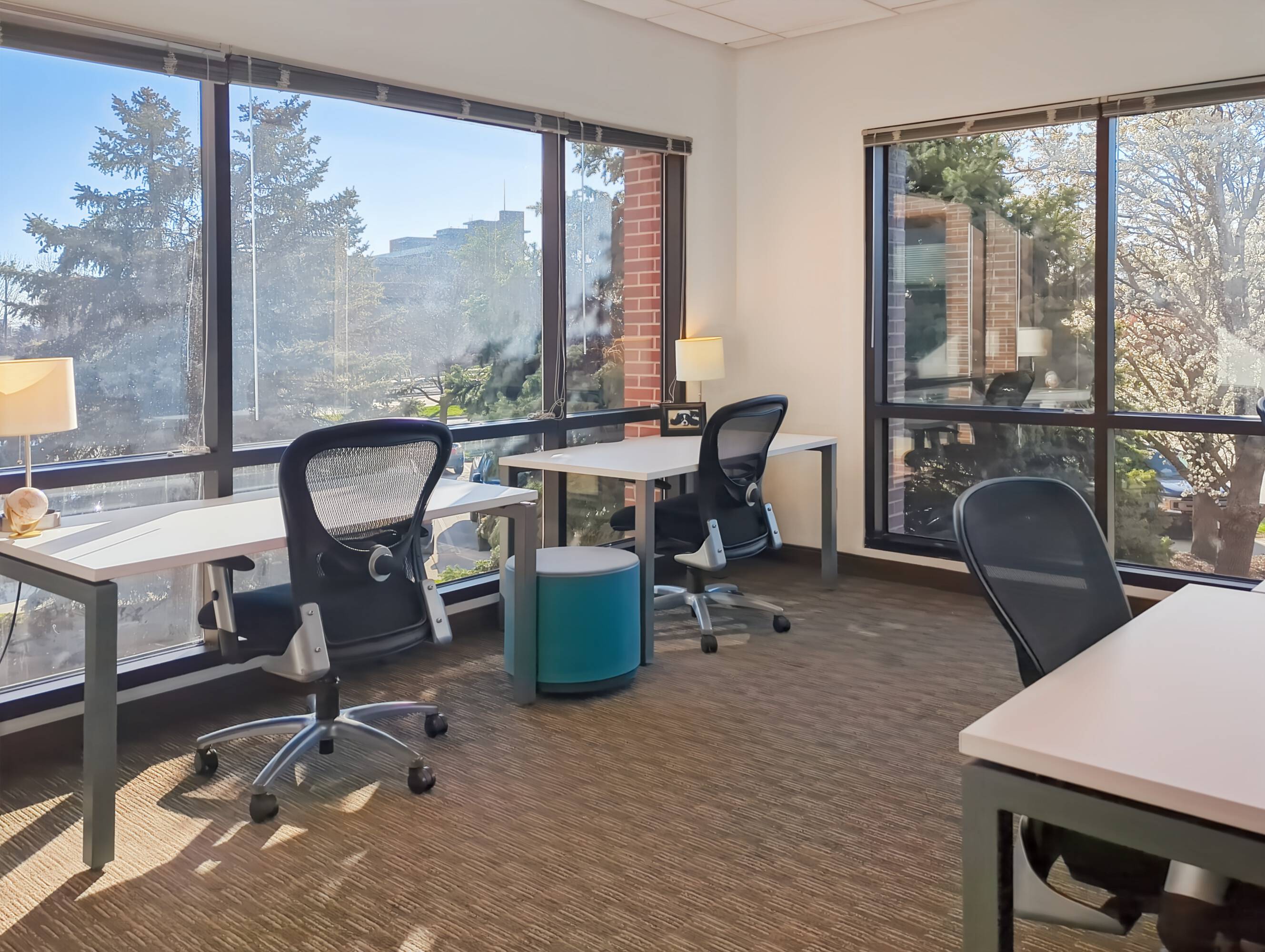 3646920