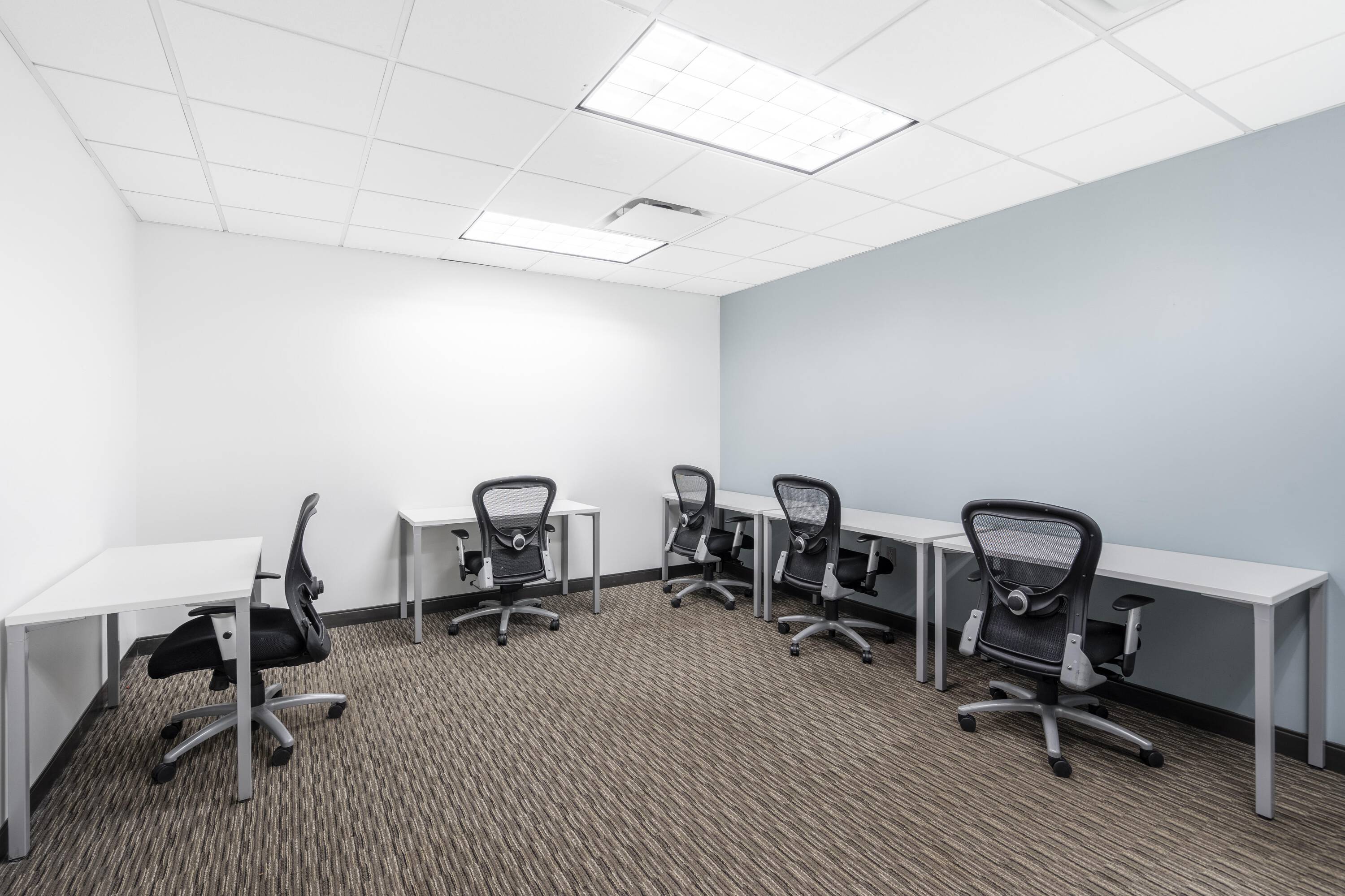 3652232