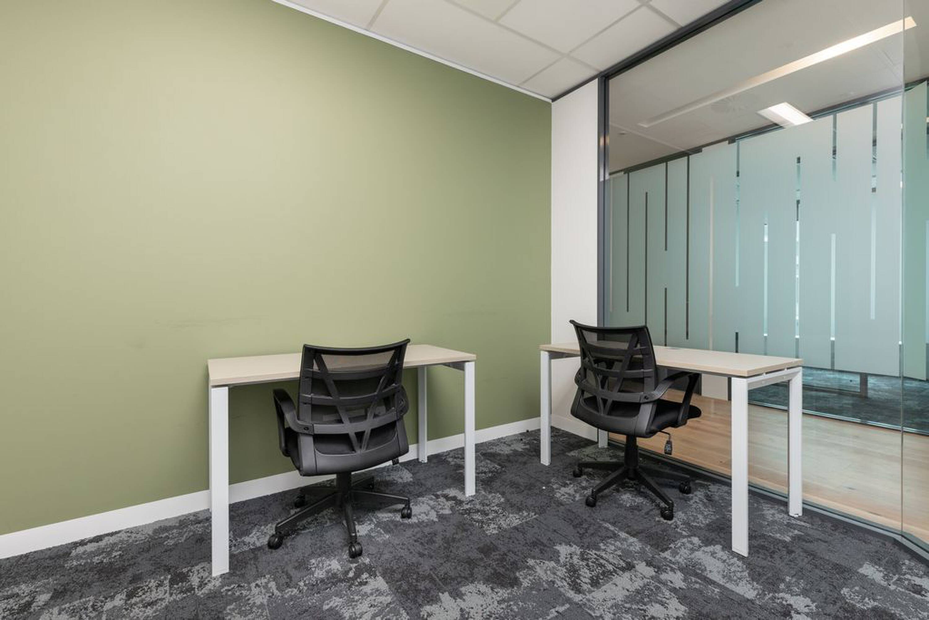3653416
