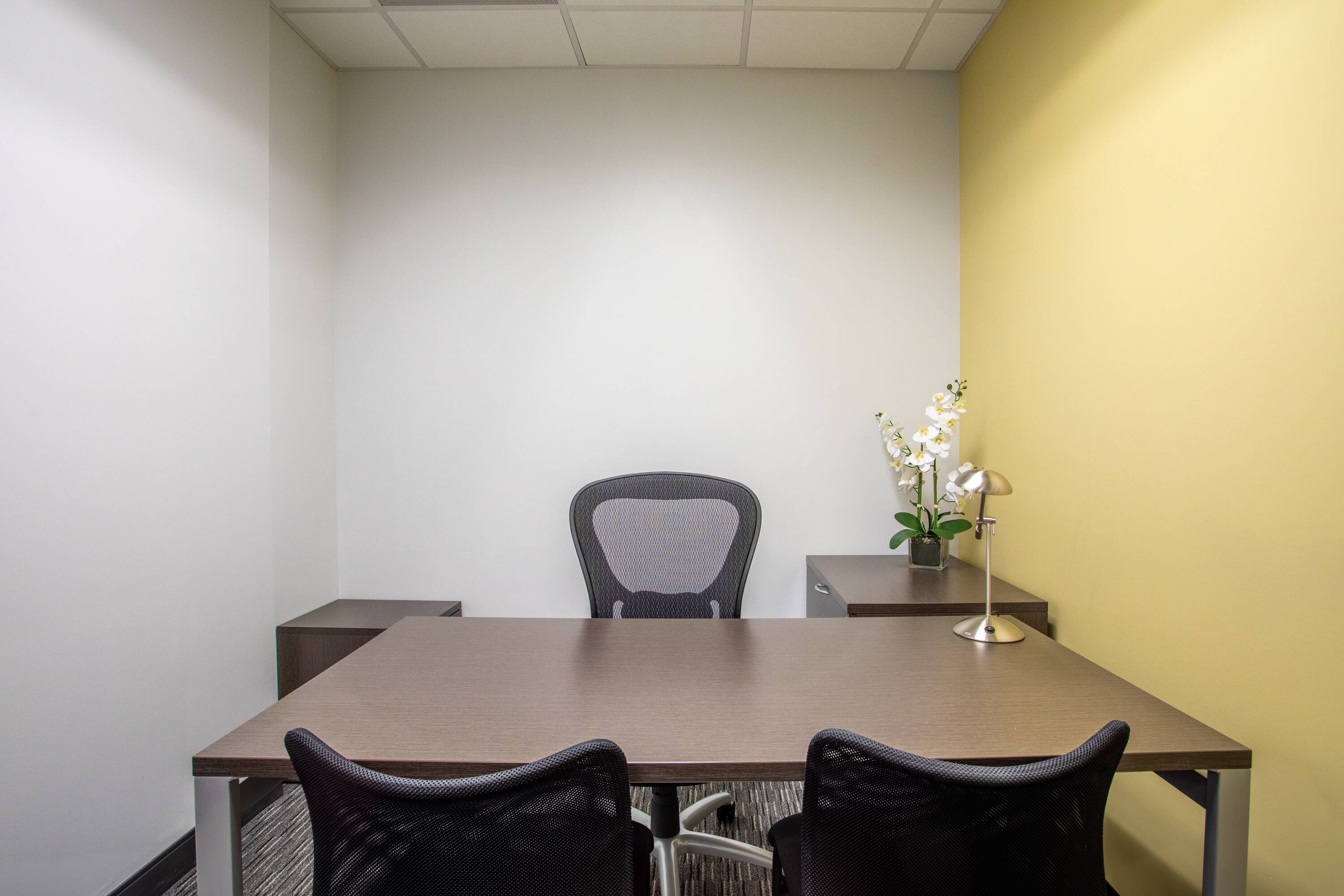 3662347