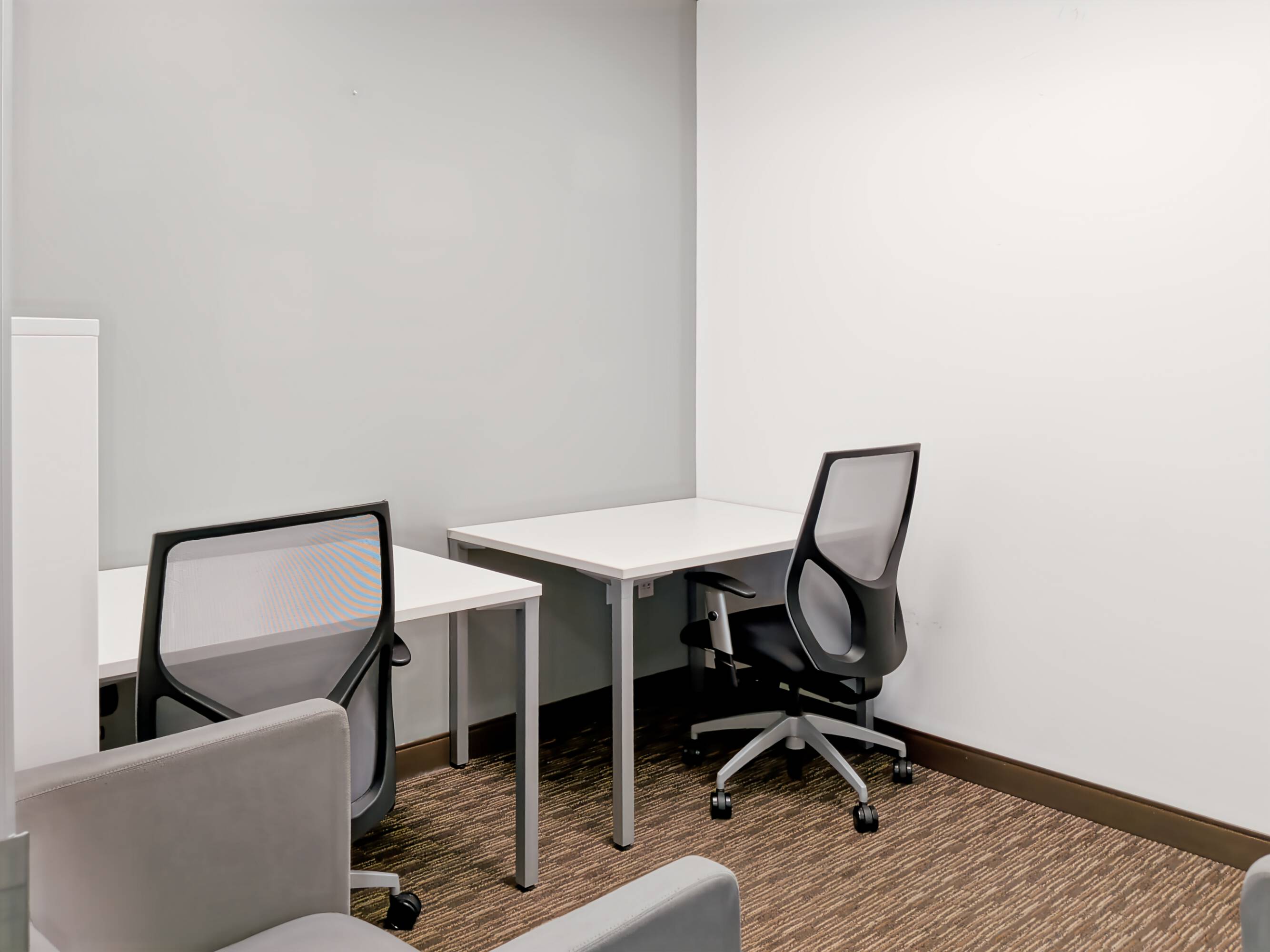 3664848