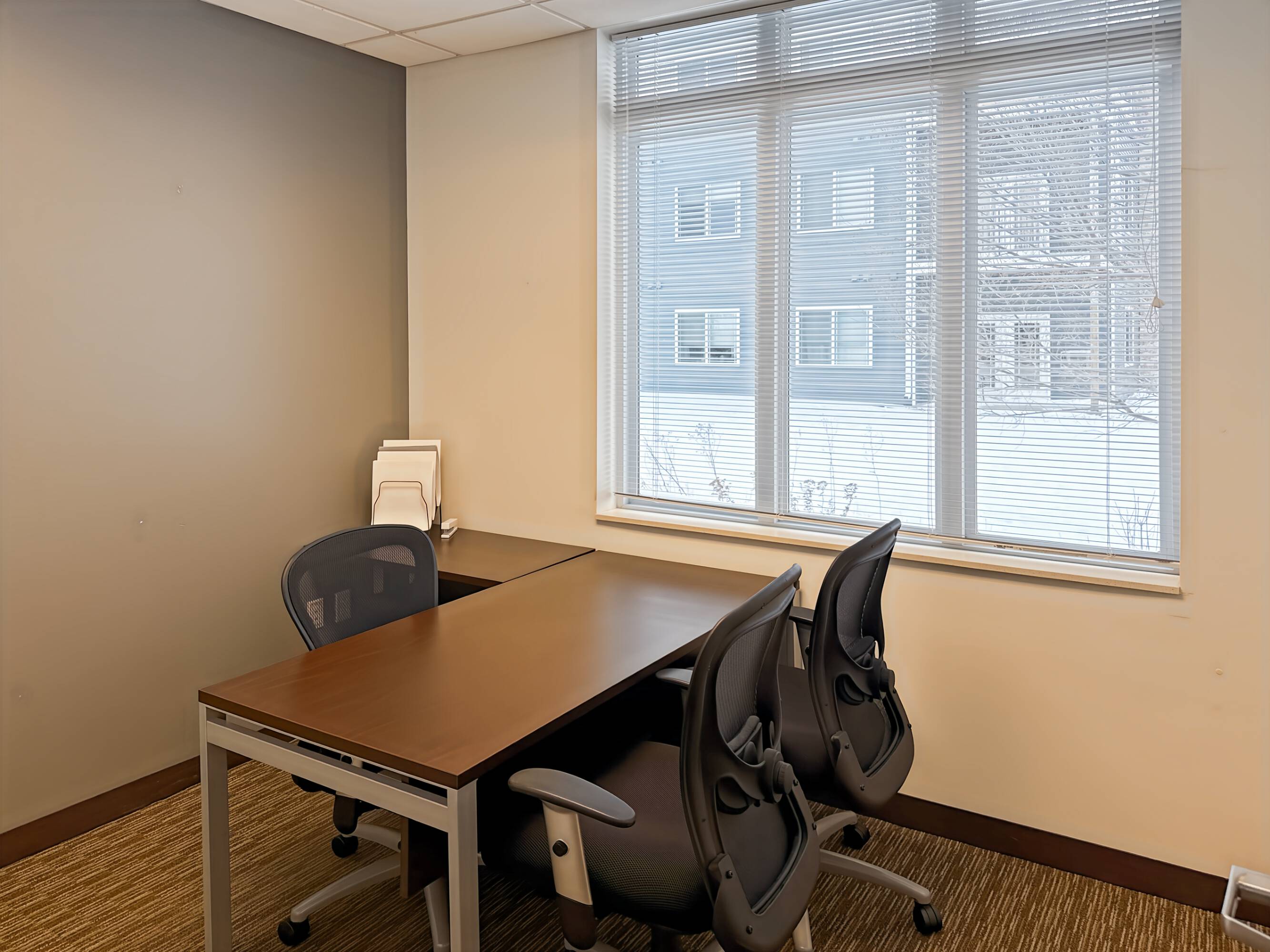 3689646