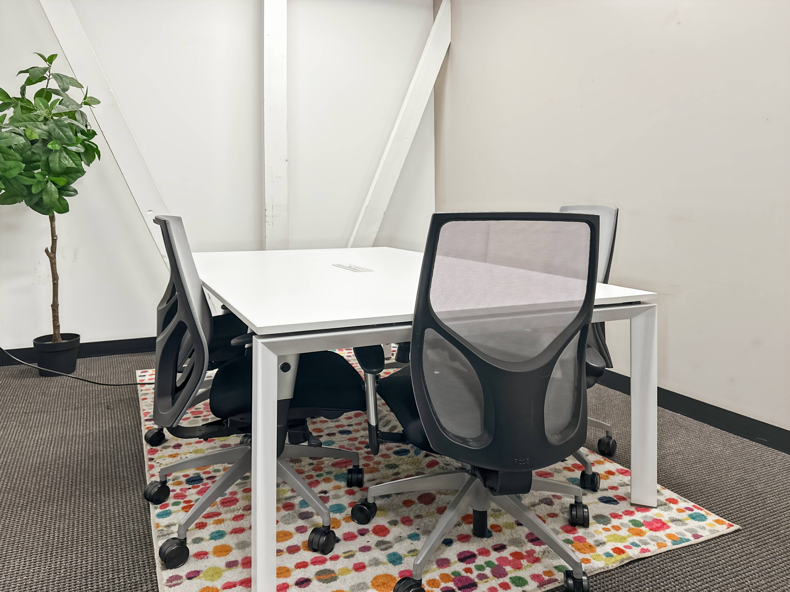 3719596