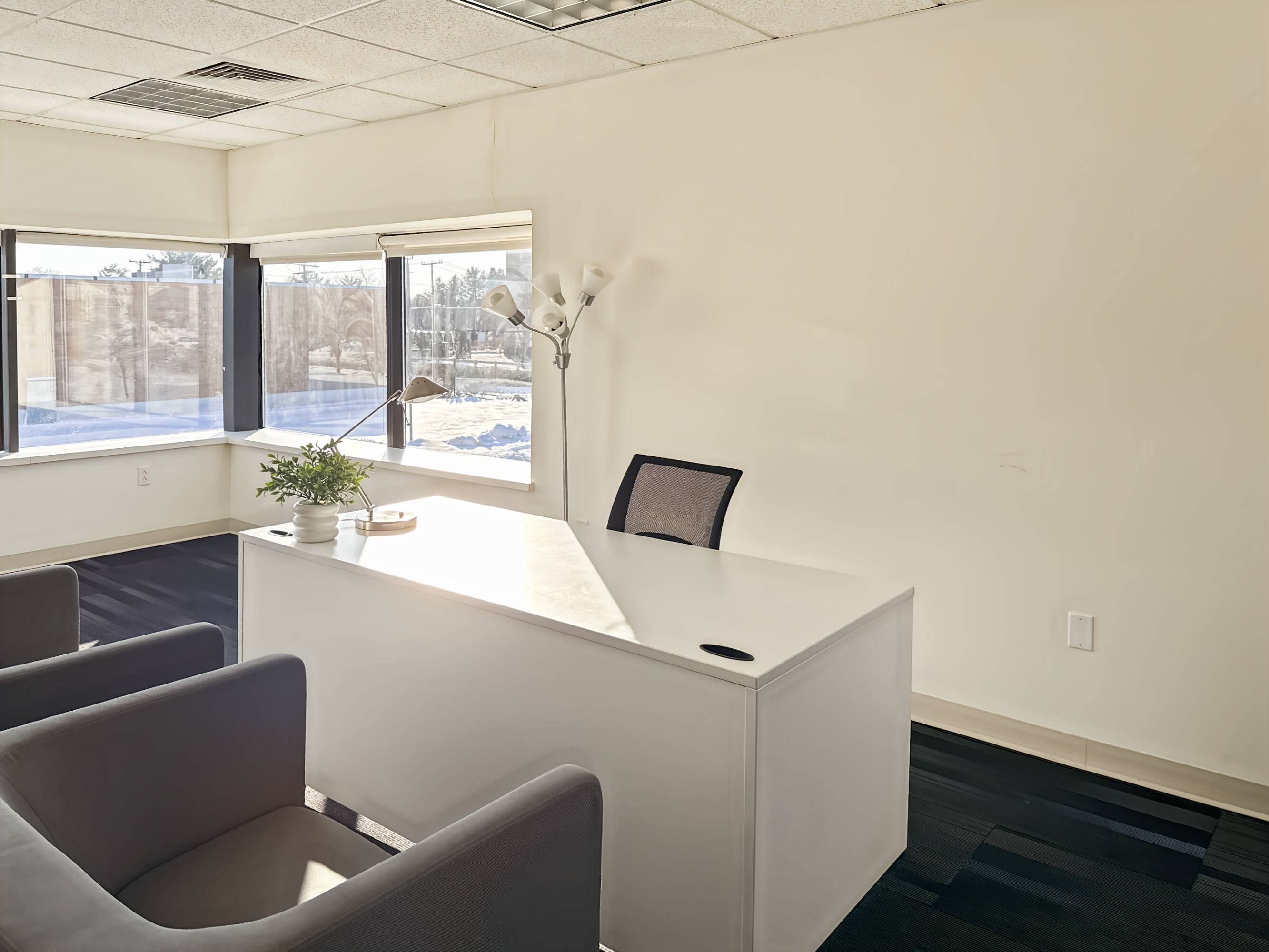 3743954