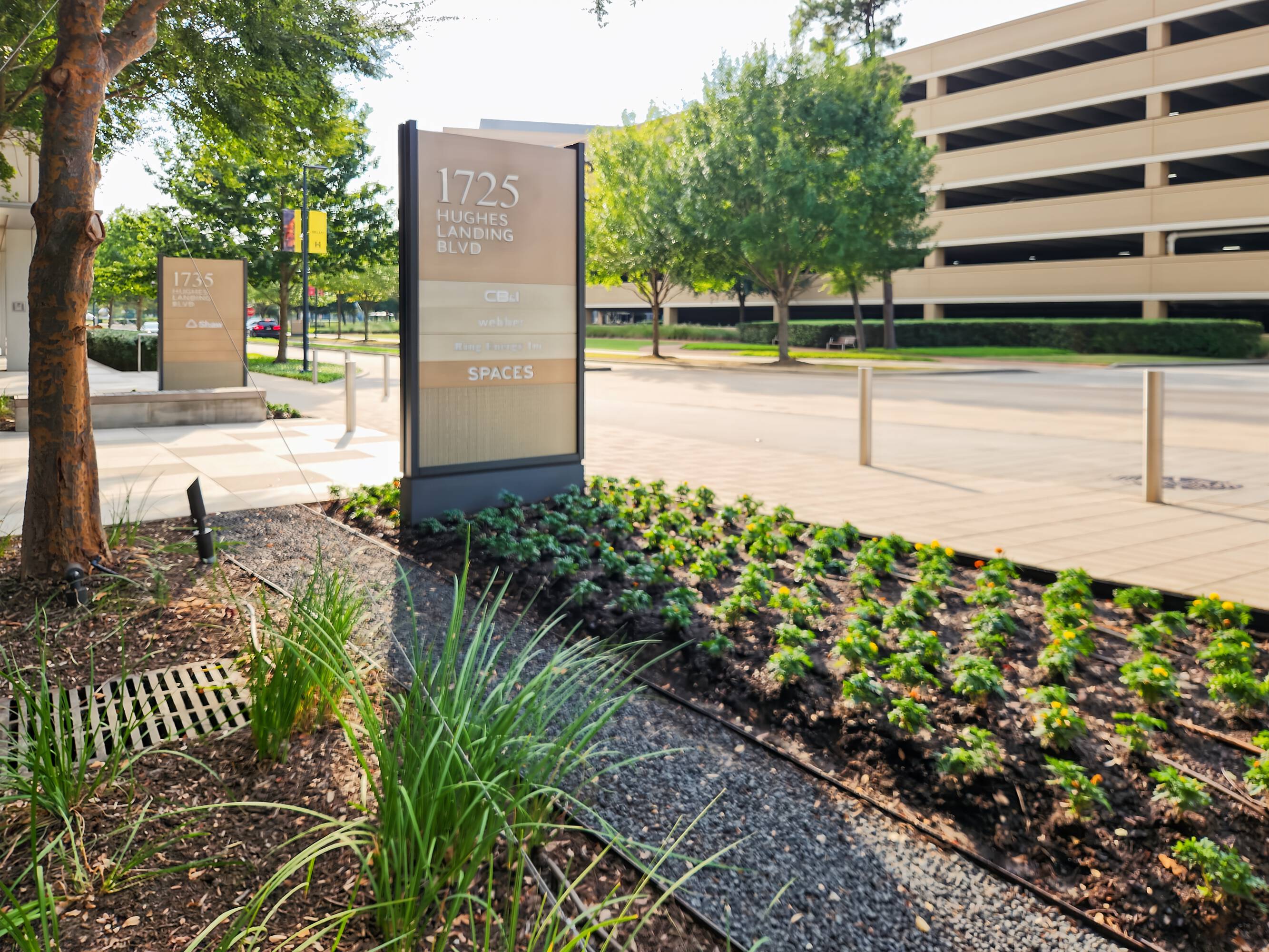 3815018