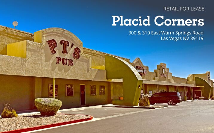 Pictures of Retail property located at 300 & 310 East Warm Springs Road, Las Vegas, NV 89119 for lease - image #1