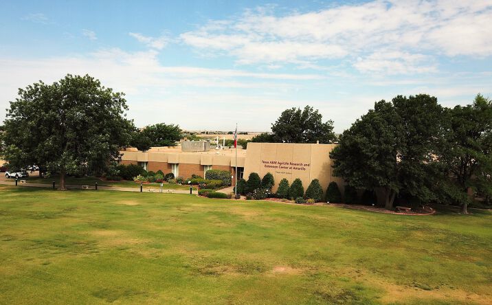 Pictures of Office property located at 6500 Amarillo Blvd West, Amarillo, TX 79106 for lease - image #1