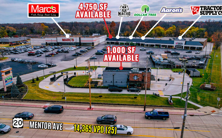 Pictures of Retail property located at 1623 Mentor Ave, Painesville, OH 44077 for lease - image #1