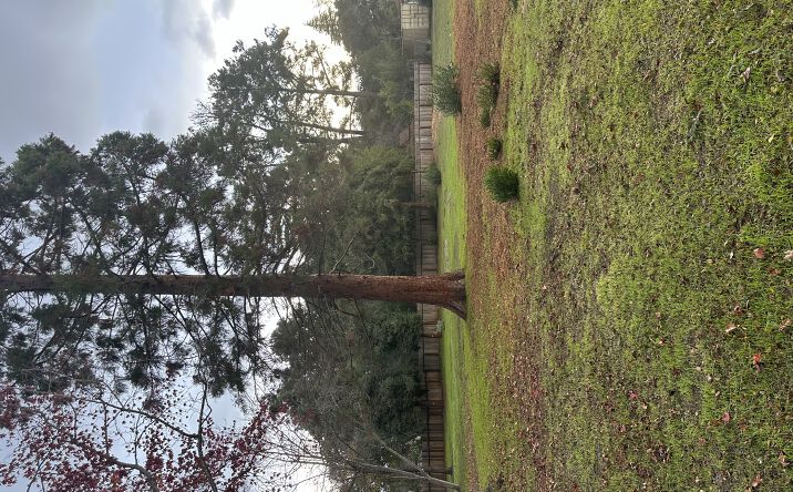 Pictures of Land property located at 77 Edge Road, Atherton, CA 94027 for lease - image #1