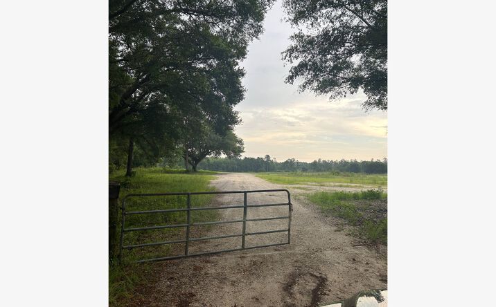 Pictures of Land property located at 1779 Florida 20, Freeport, FL 32439 for lease - image #1
