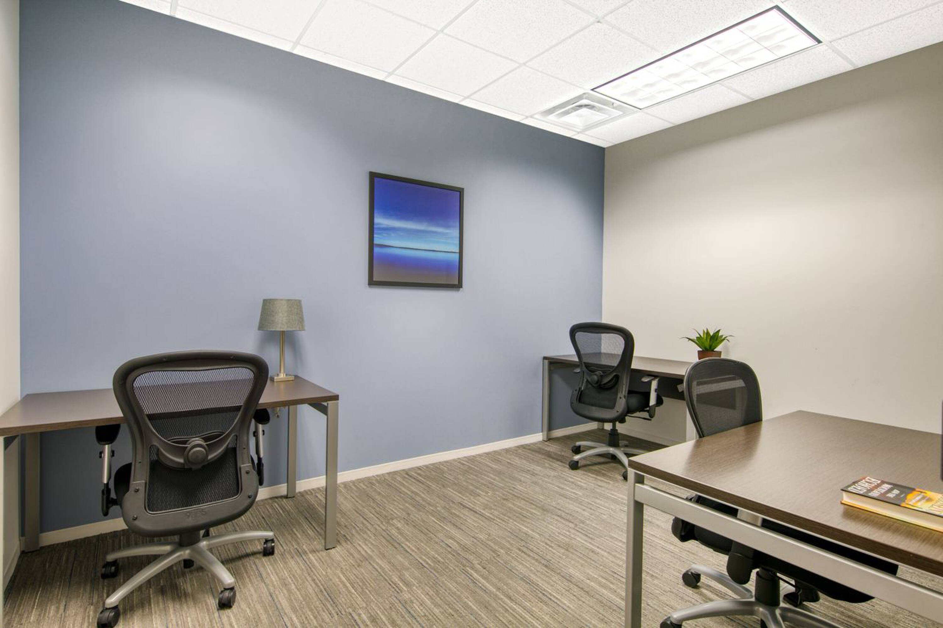 40 Burton Hills Boulevard Suite 200, Nashville, TN 37215 Office Space