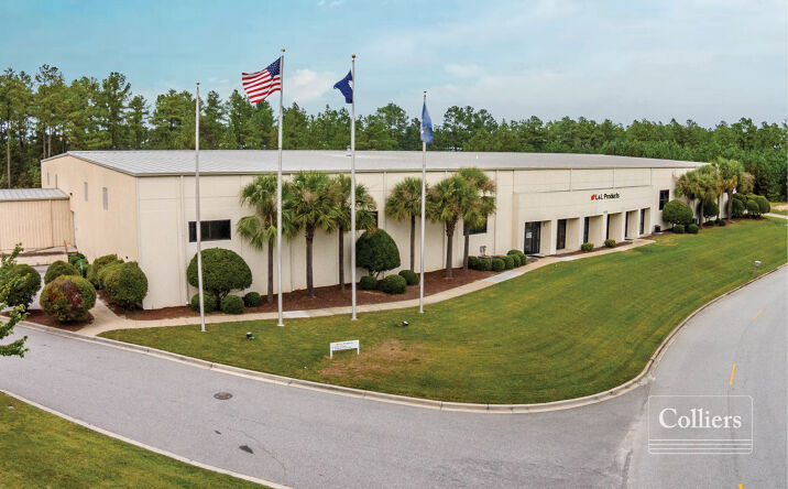 Pictures of Industrial property located at 1025 Technology Dr, West Columbia, SC 29170 for lease - image #1