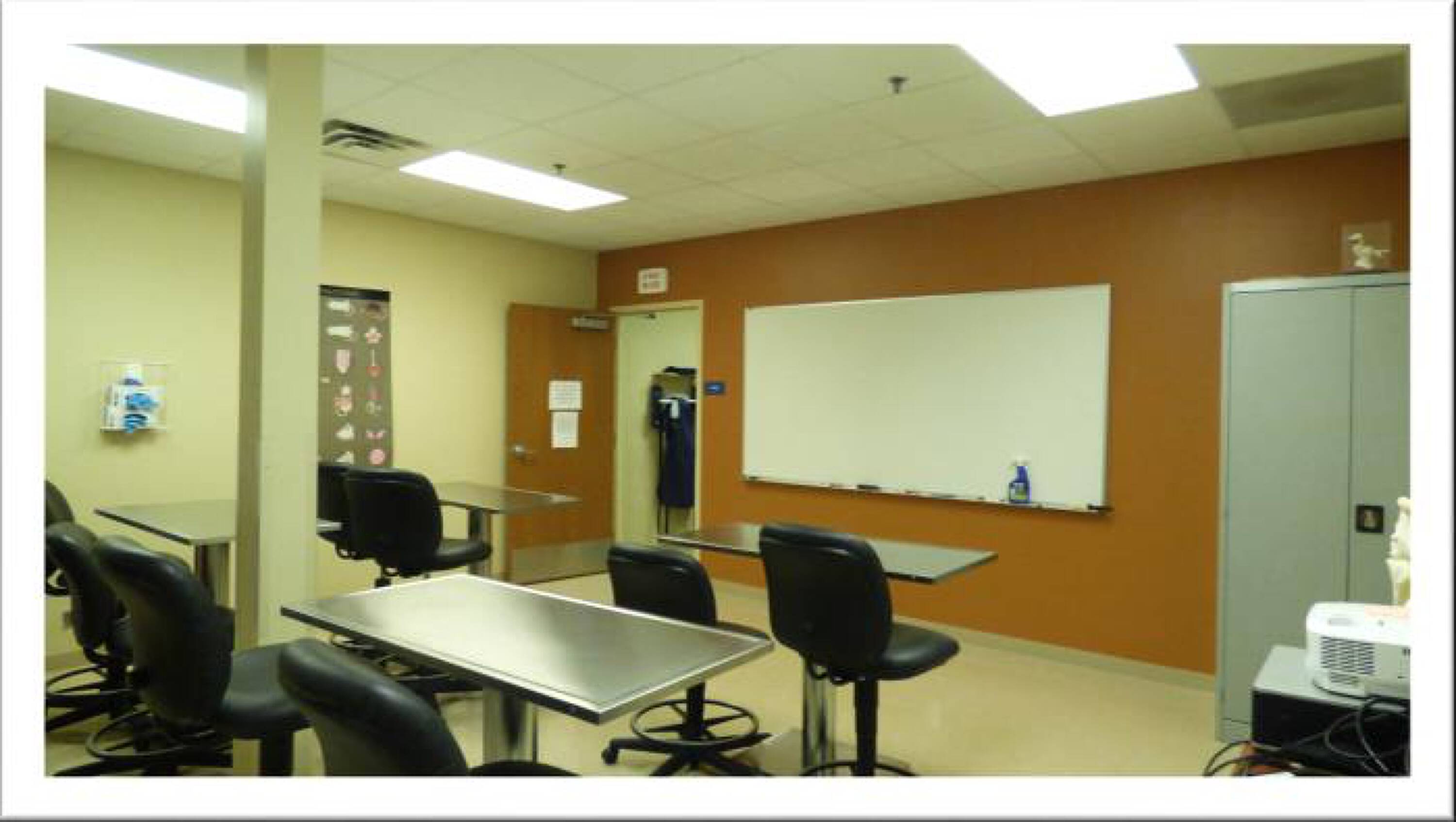 17645 Juniper Path, Lakeville, MN 55044