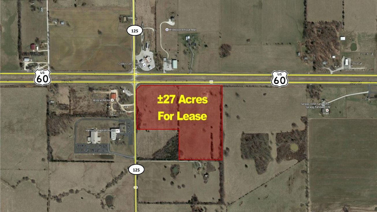 East US Hwy 60 & 125, Rogersville, MO 65742 - Land for Lease