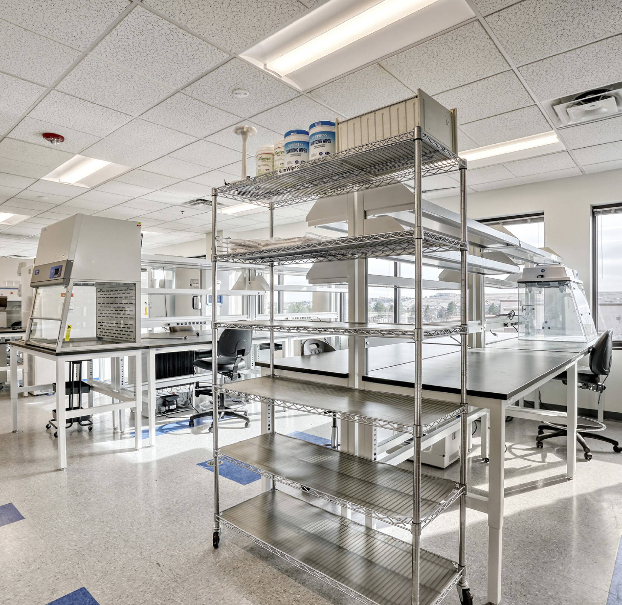 3346558