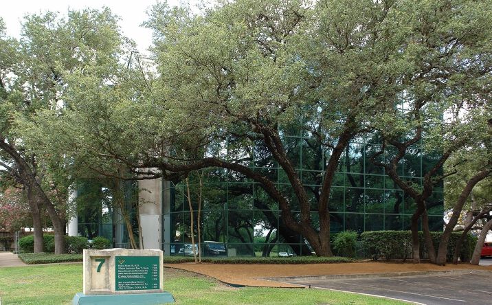 Pictures of Office property located at 4242 Medical Dr, San Antonio, TX 78229 for lease - image #1