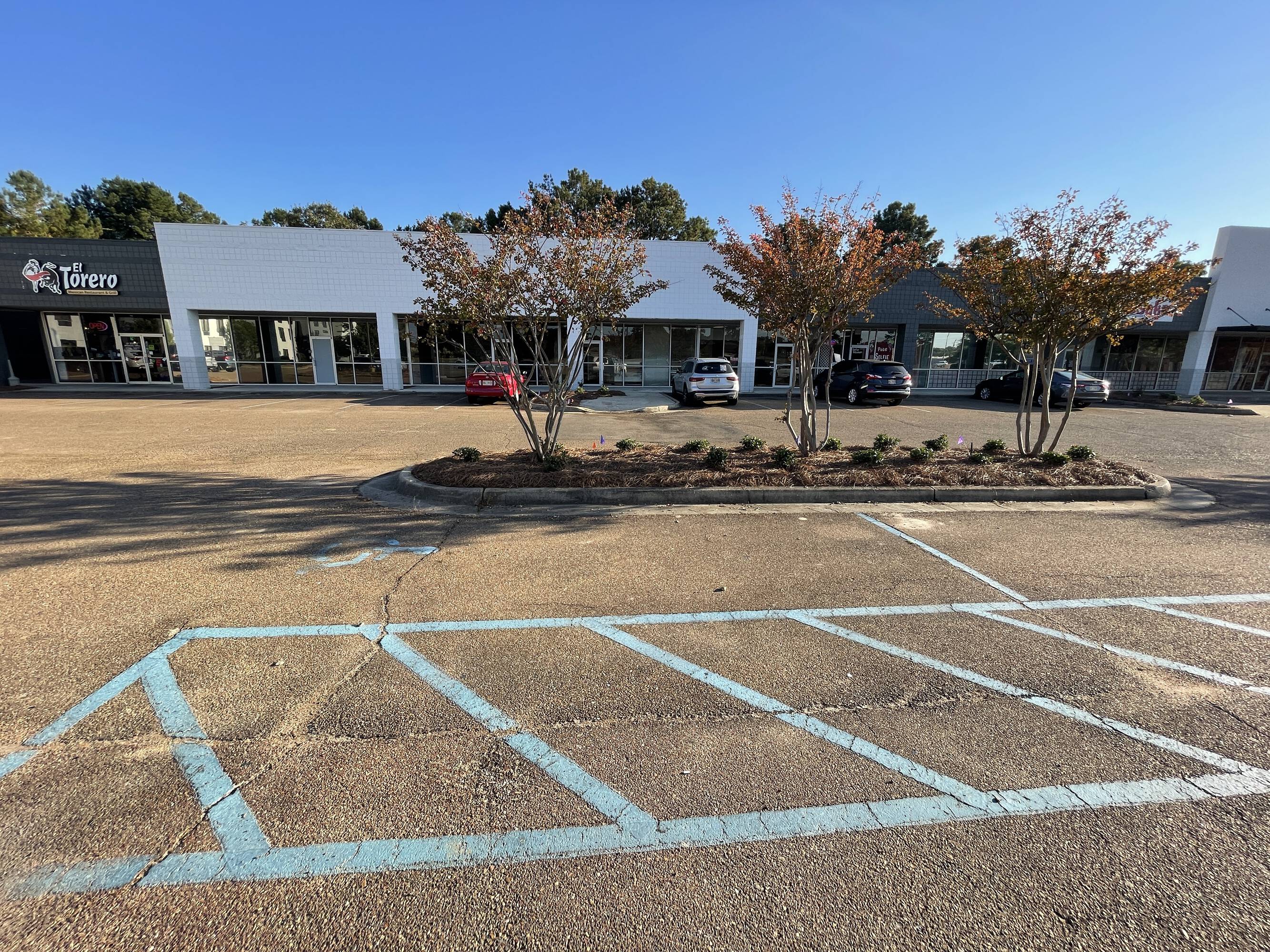 4301 Lakeland Dr, Flowood, MS 39232