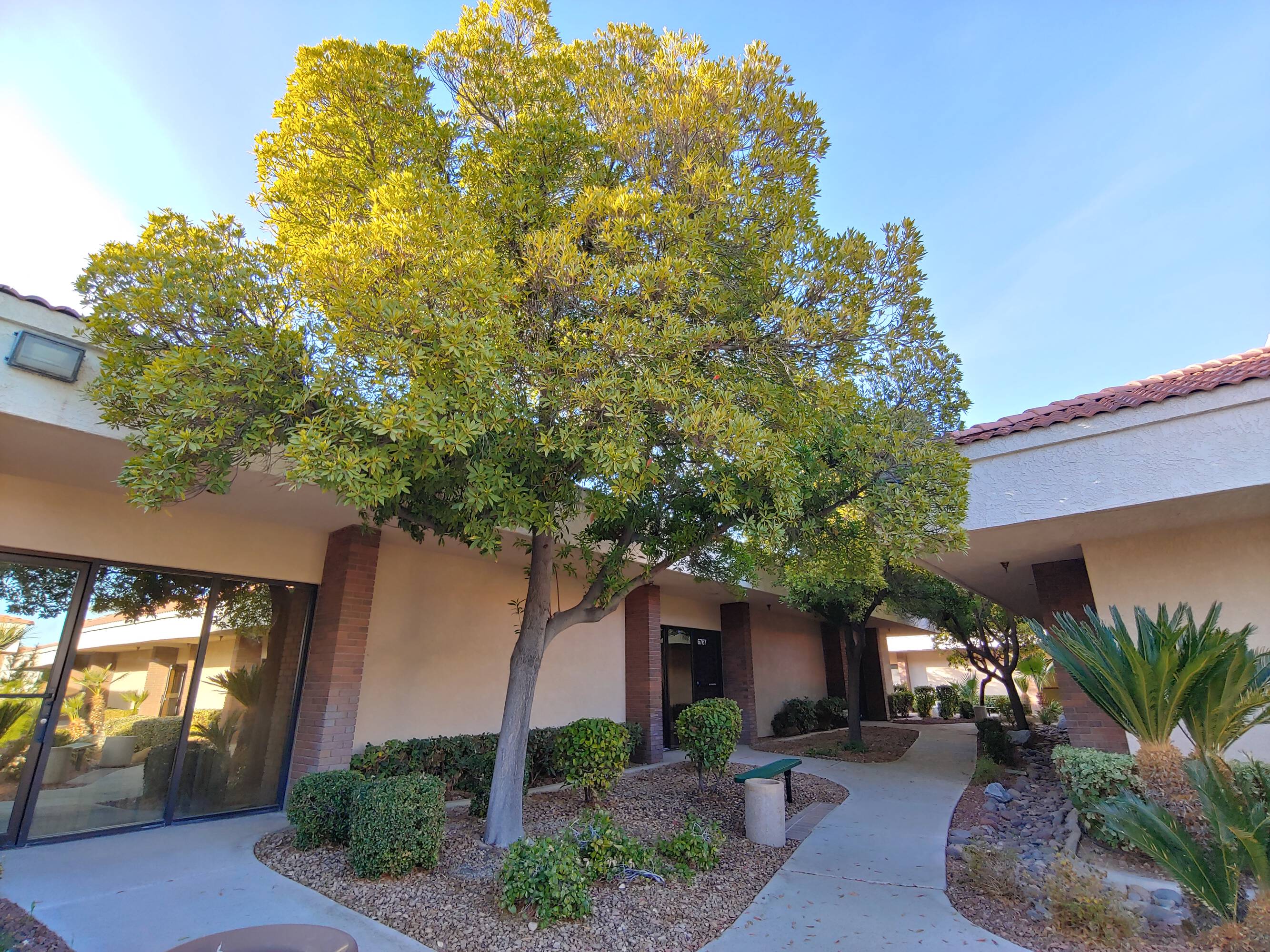 6761 W Charleston Blvd, Las Vegas, NV 89146