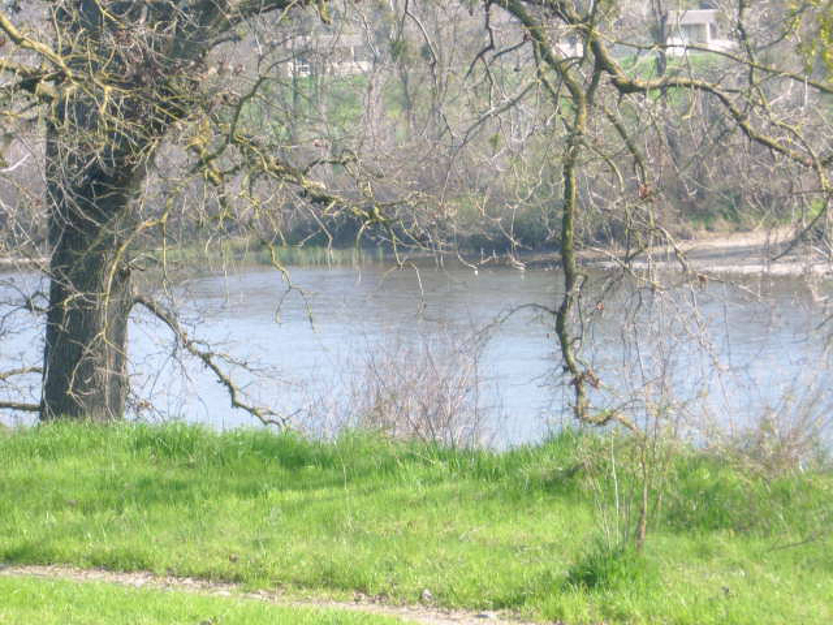 3406 American River Dr, Sacramento, CA 95864