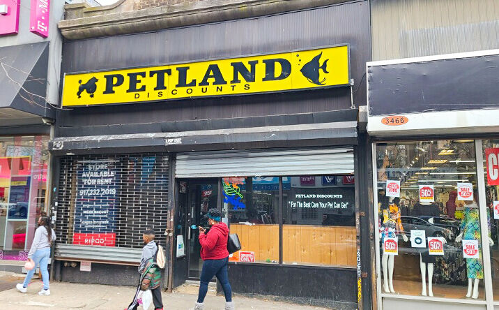 Pictures of Retail property located at 3466B Jerome Ave, Bronx, NY 10467 for lease - image #1