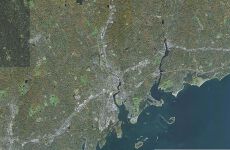3962842