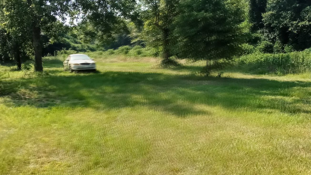 3067 Co Rd 28, Sawyerville, AL 36744