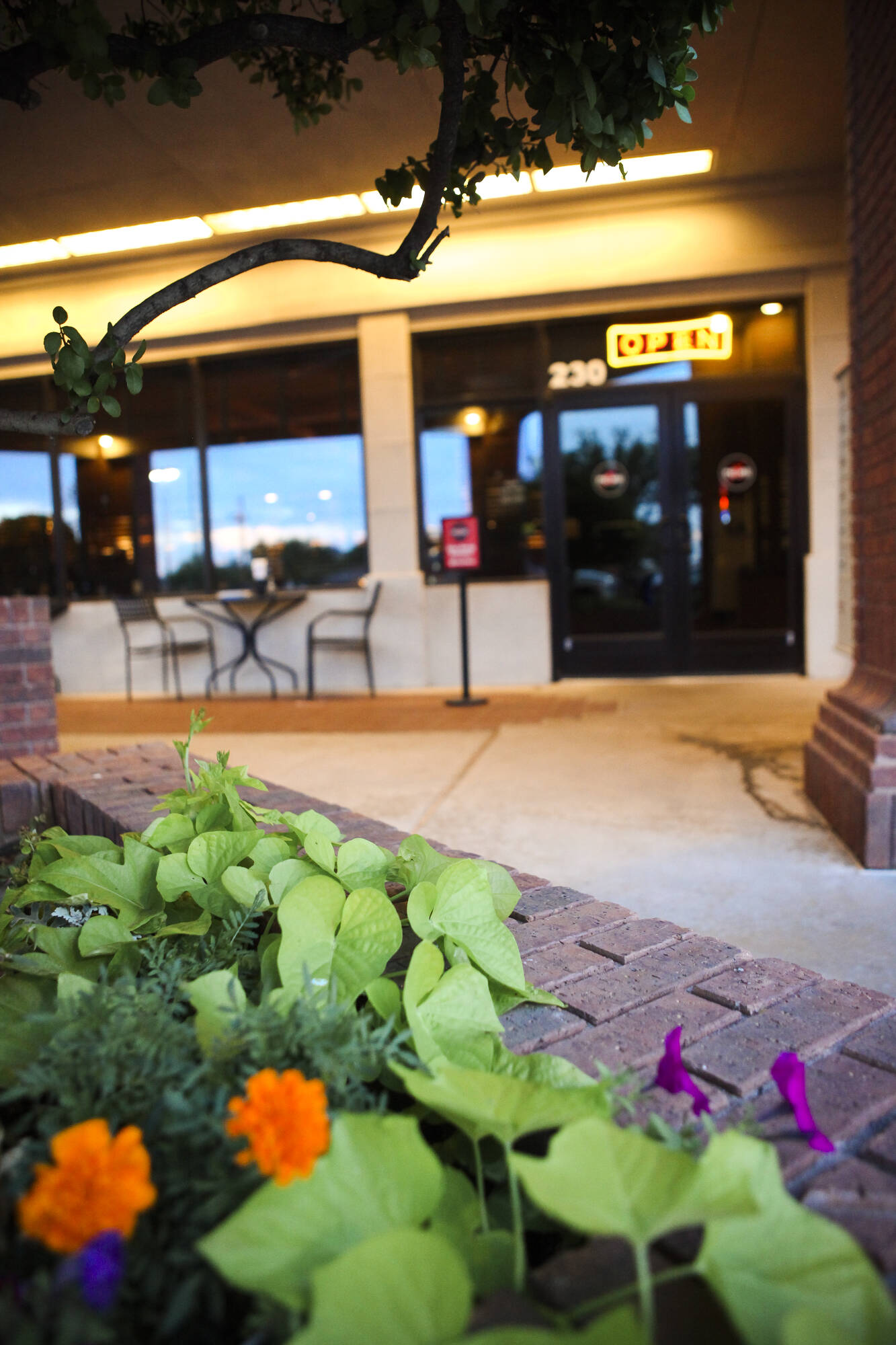 4210 82nd St, Lubbock, TX 79423