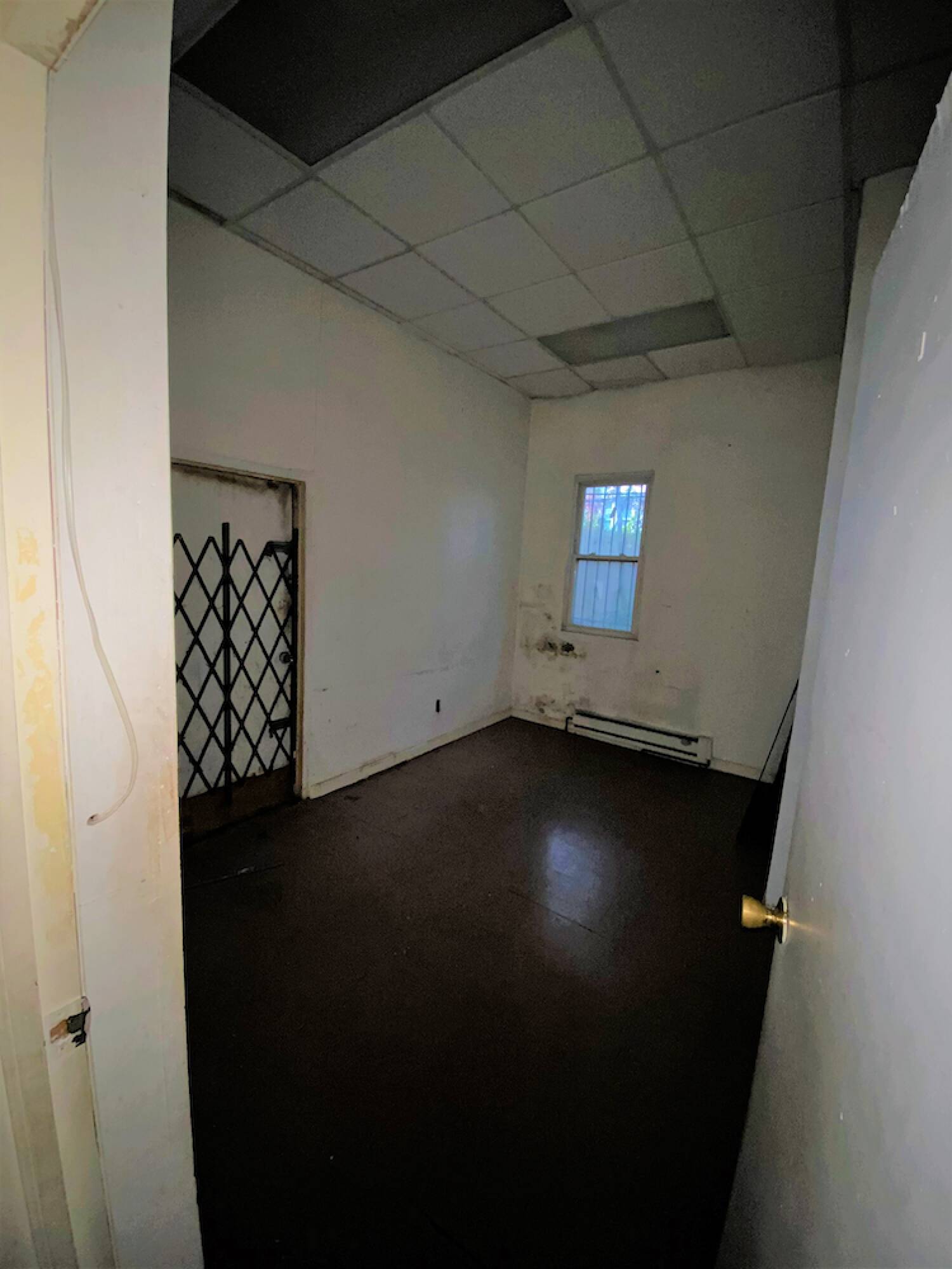 1424 Flatbush Ave, Brooklyn, NY 11210
