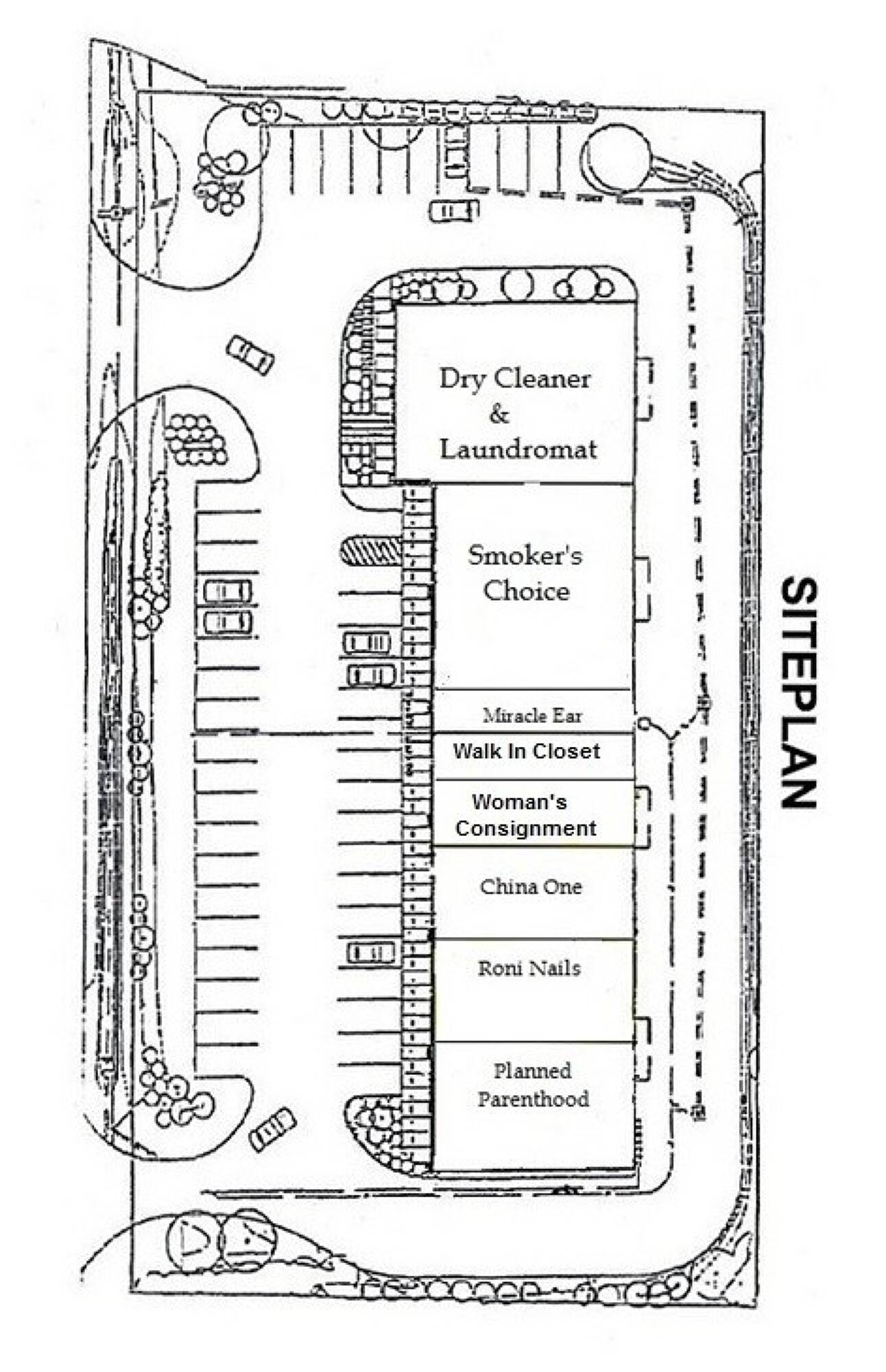 Amsterdam Ny Obituarytime Line - 7pnfm1e