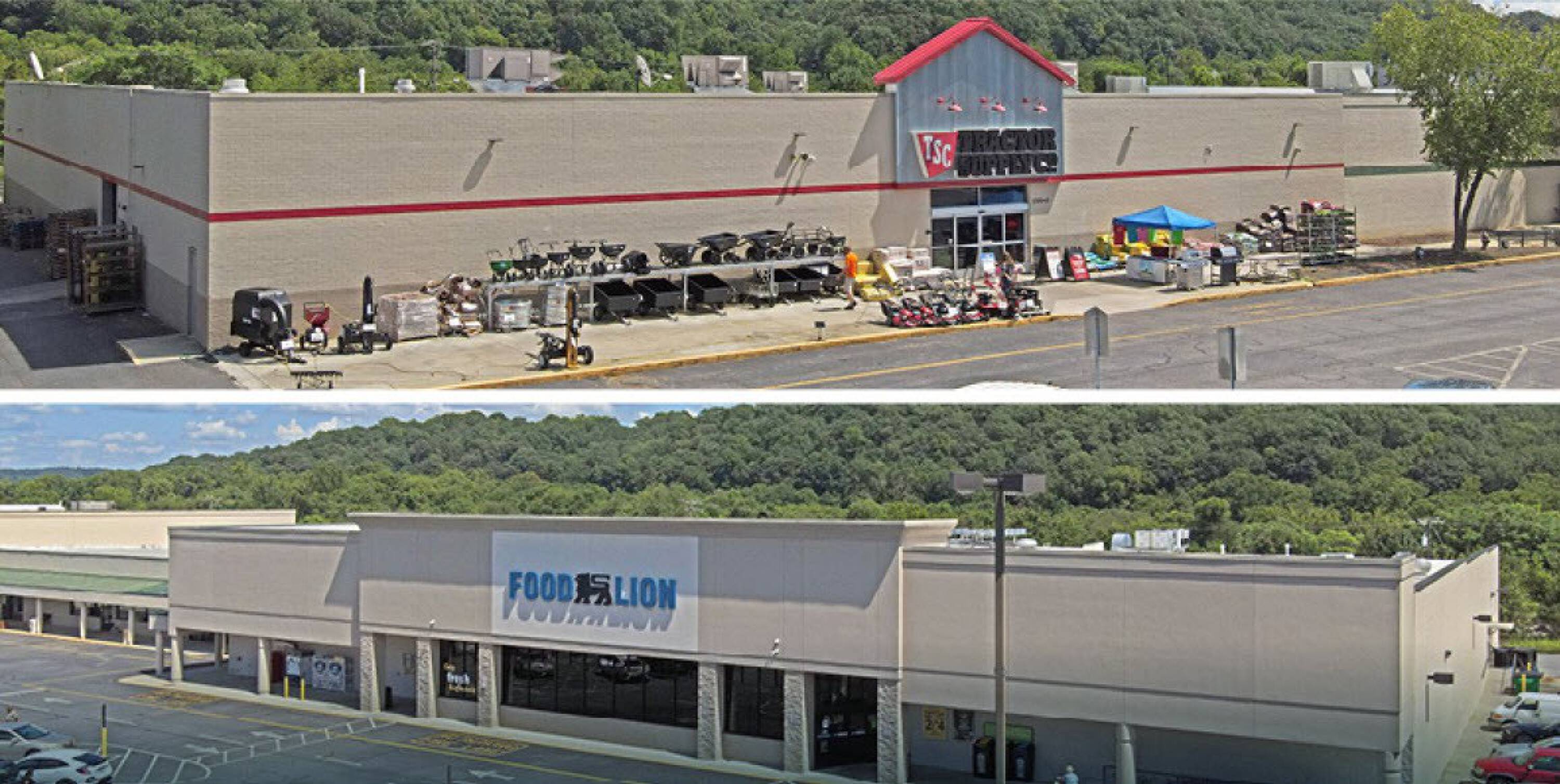 1301 Main St, Altavista, VA 24517 Retail Space for Lease Town