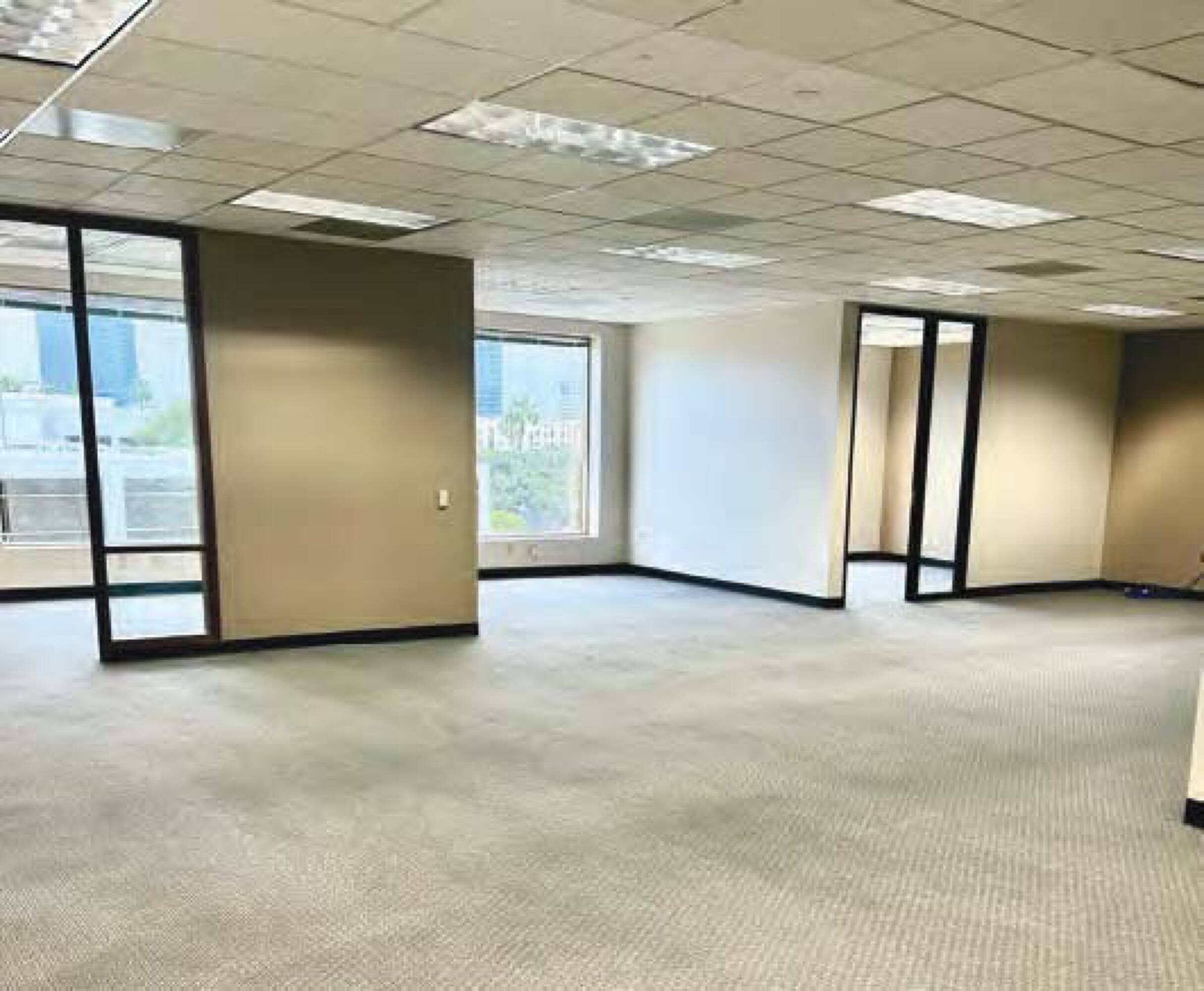 3295419