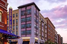 11864033