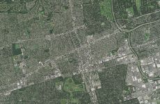 11650717