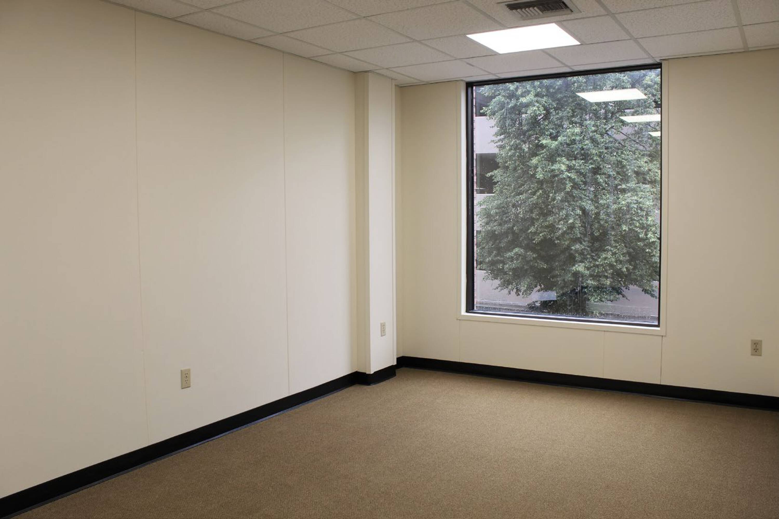 204 E Calder Way, State College, PA 16801