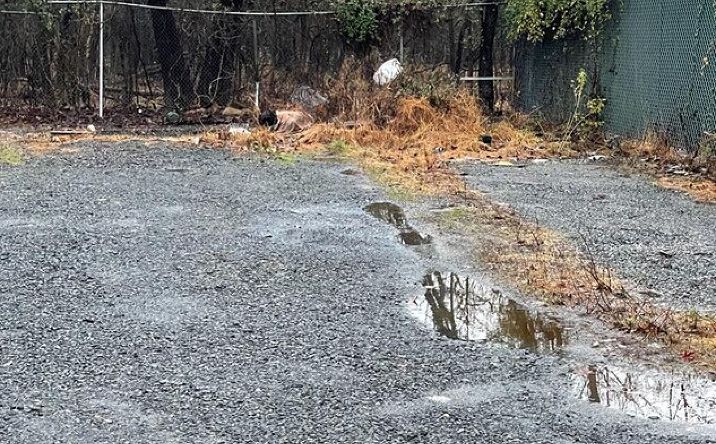 Pictures of Land property located at 3120 Arthur Kill Rd, Staten Island, NY 10309 for lease - image #1