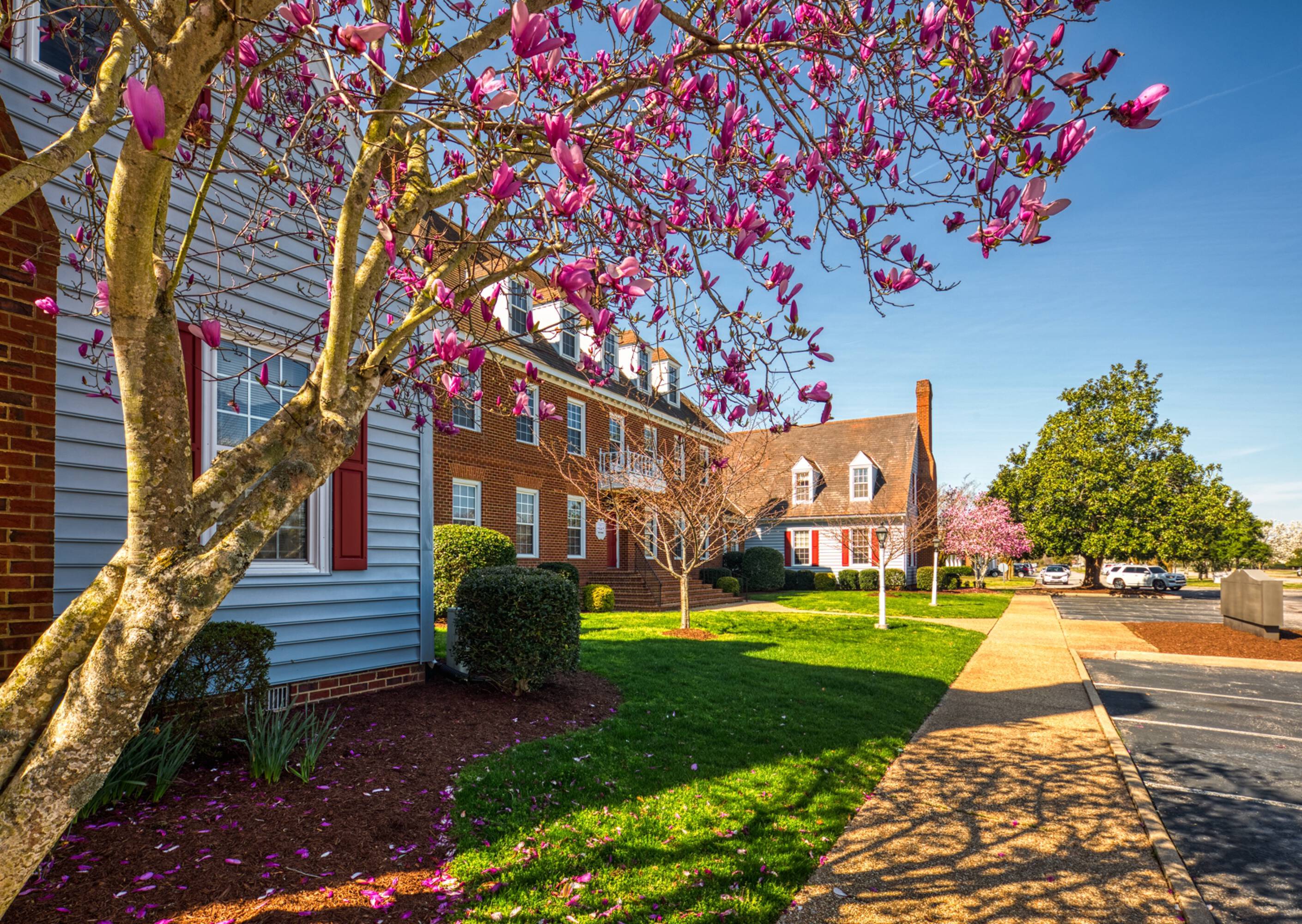 2425 Nimmo Pkwy Virginia Beach Va 23456 - 9rgu35a