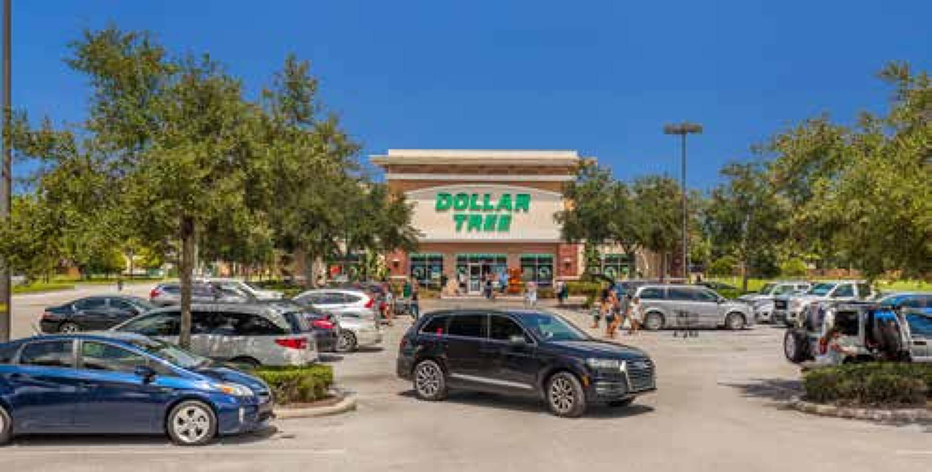 6013 Wesley Grove Blvd, Wesley Chapel, FL 33544